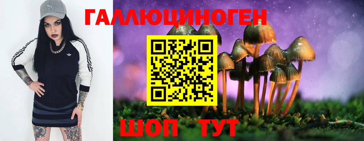 Галлюциногенные грибы прущие грибы Волхов