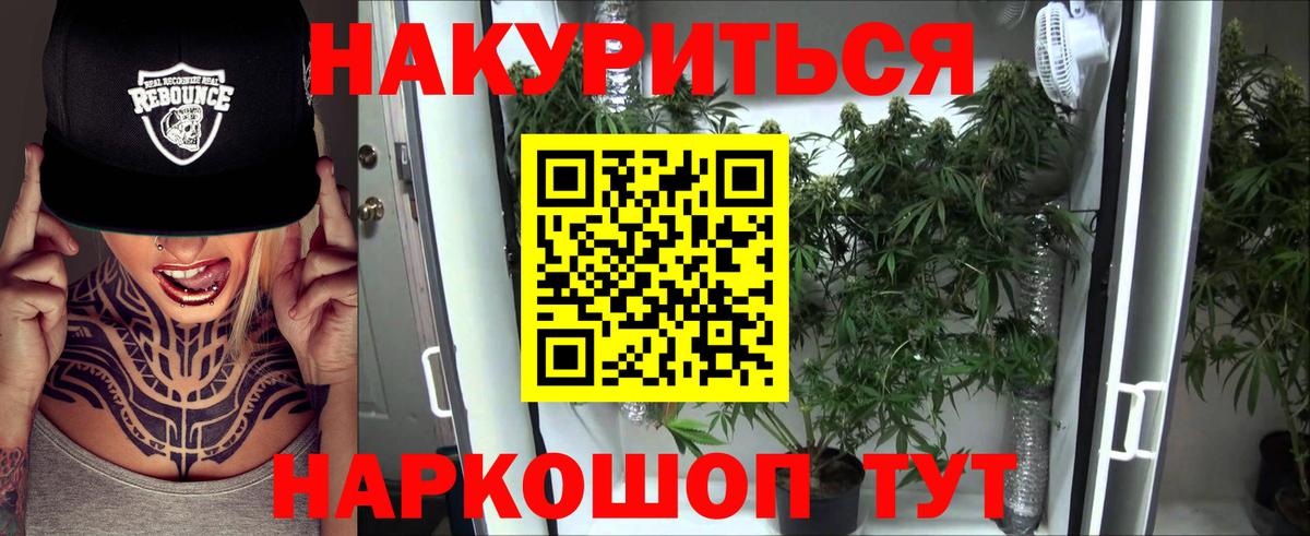 МАРИХУАНА план  Вход с VPN  Волхов  Шишки марихуана THC 21% 